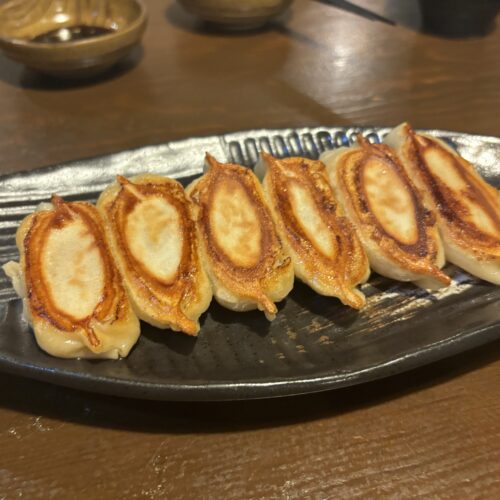 和の中の焼餃子