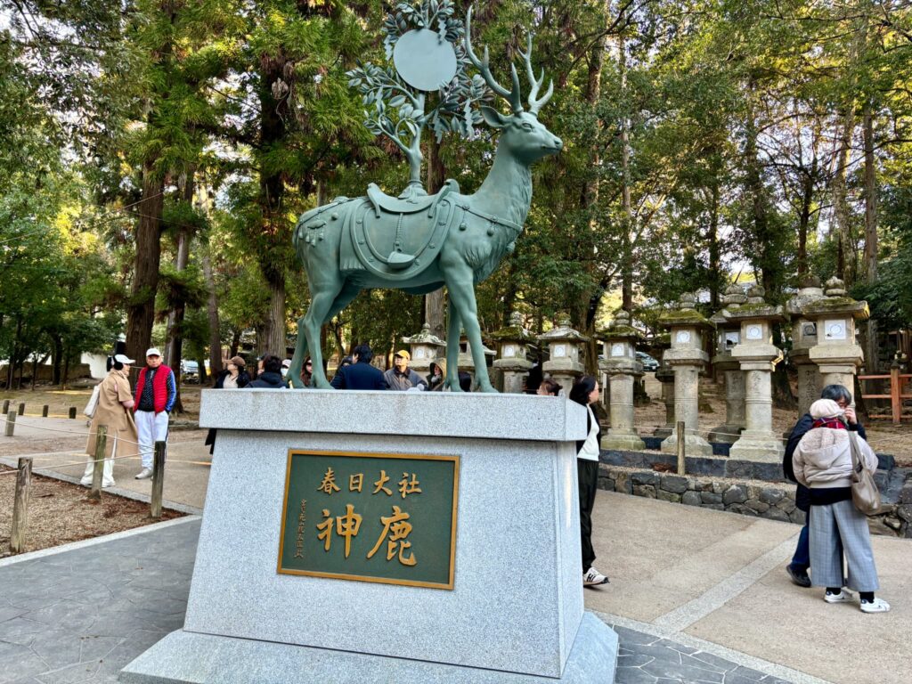 春日大社の神鹿