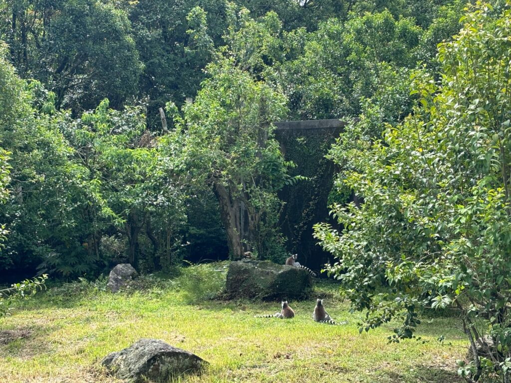 平川動物園の動物