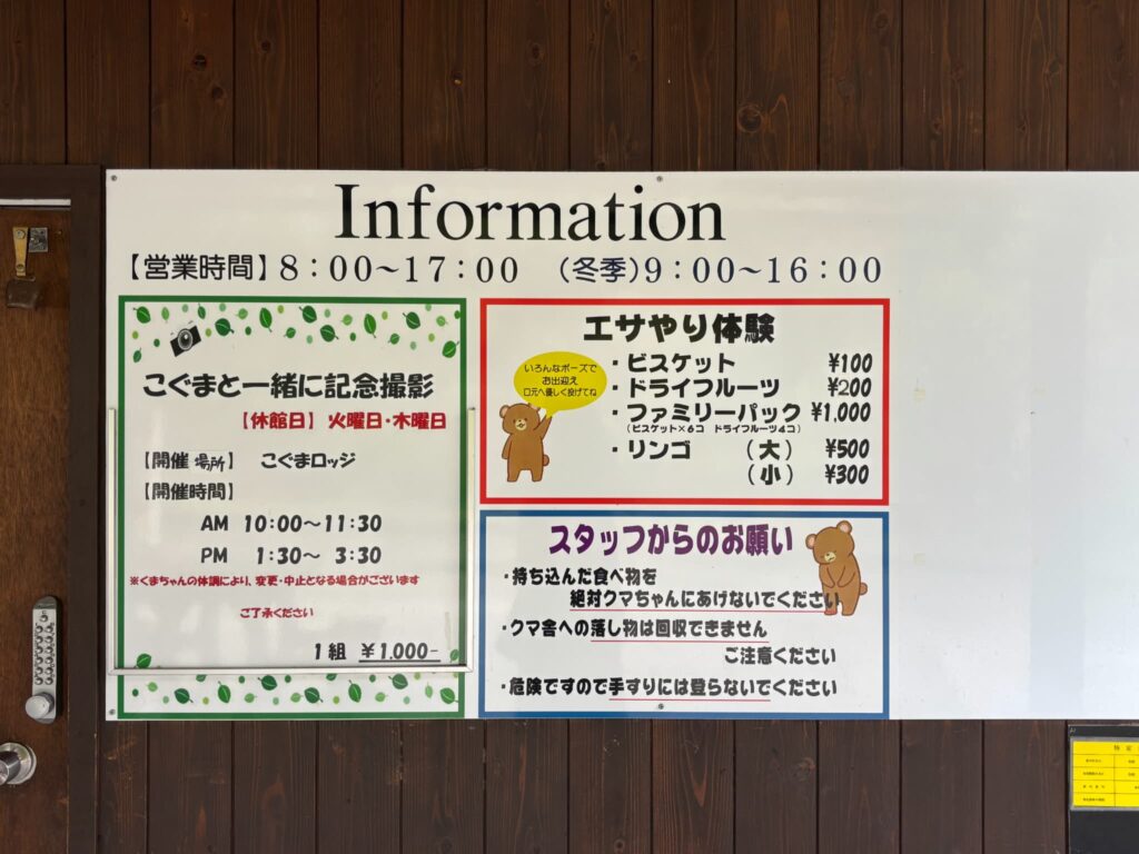 クマとのふれあい体験内容