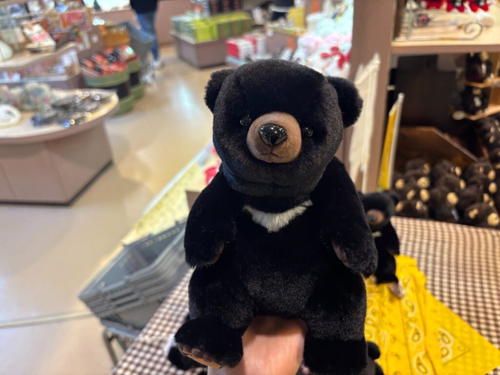 ますおが選んだクマのぬいぐるみ