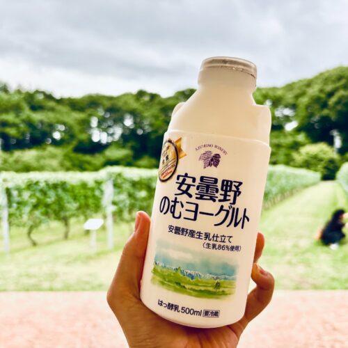 安曇野ヨーグルト