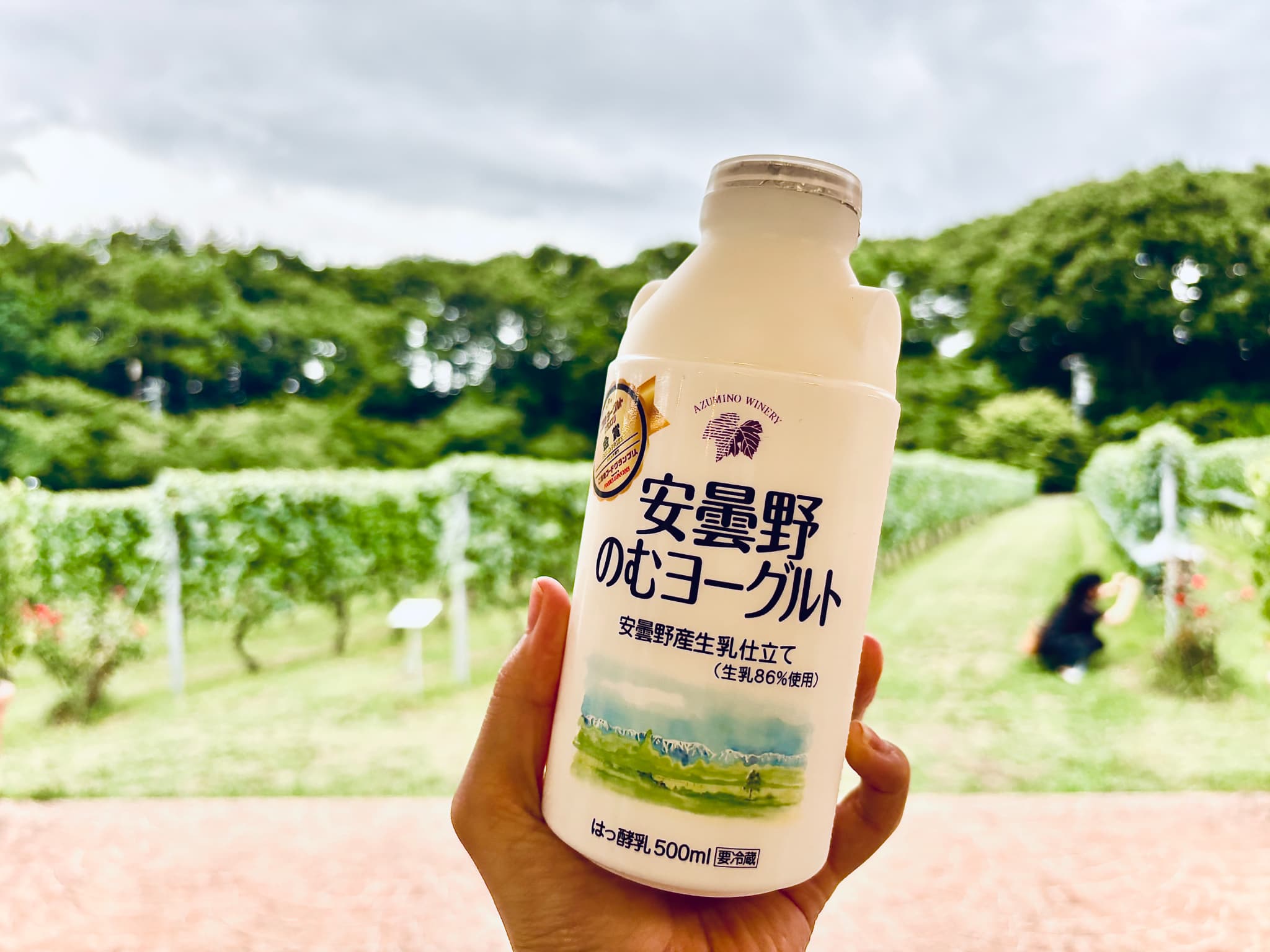 安曇野ヨーグルト